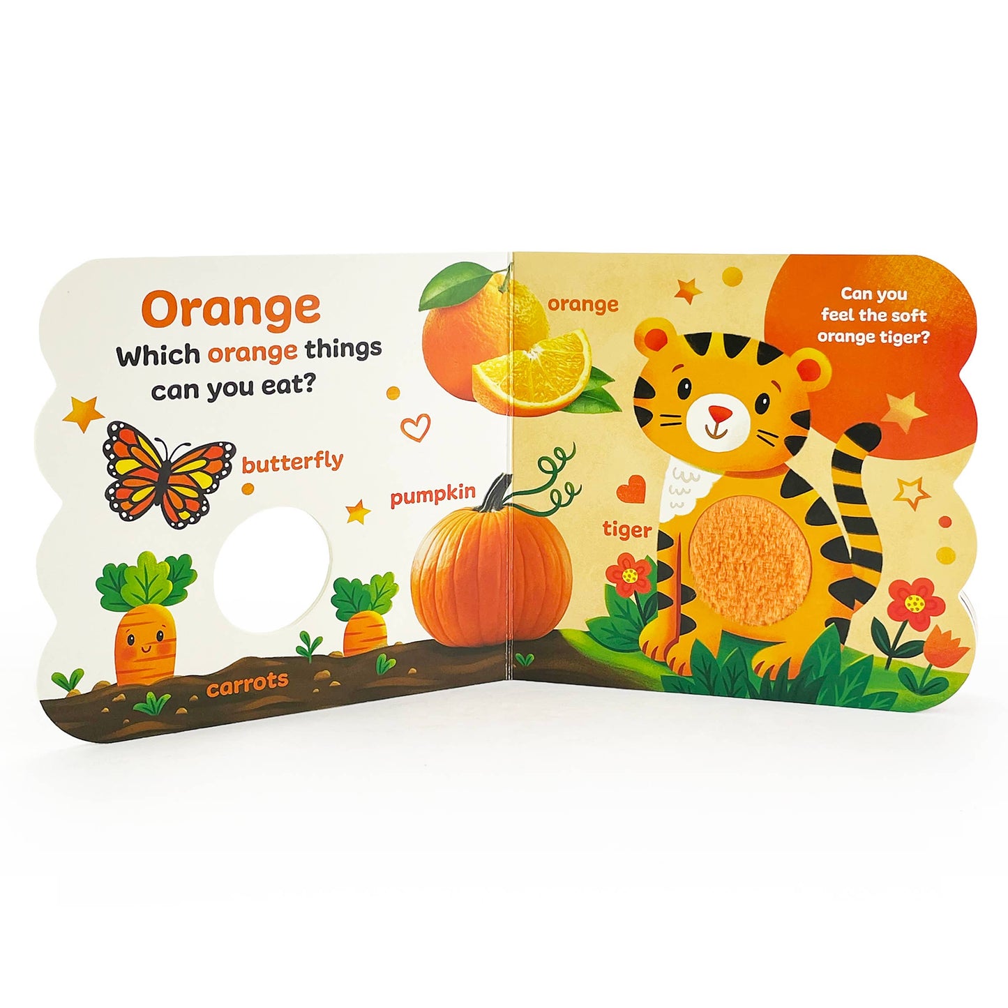 Colors Touch & Feel Interactive Board Book