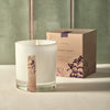 Sienna Sage Candle